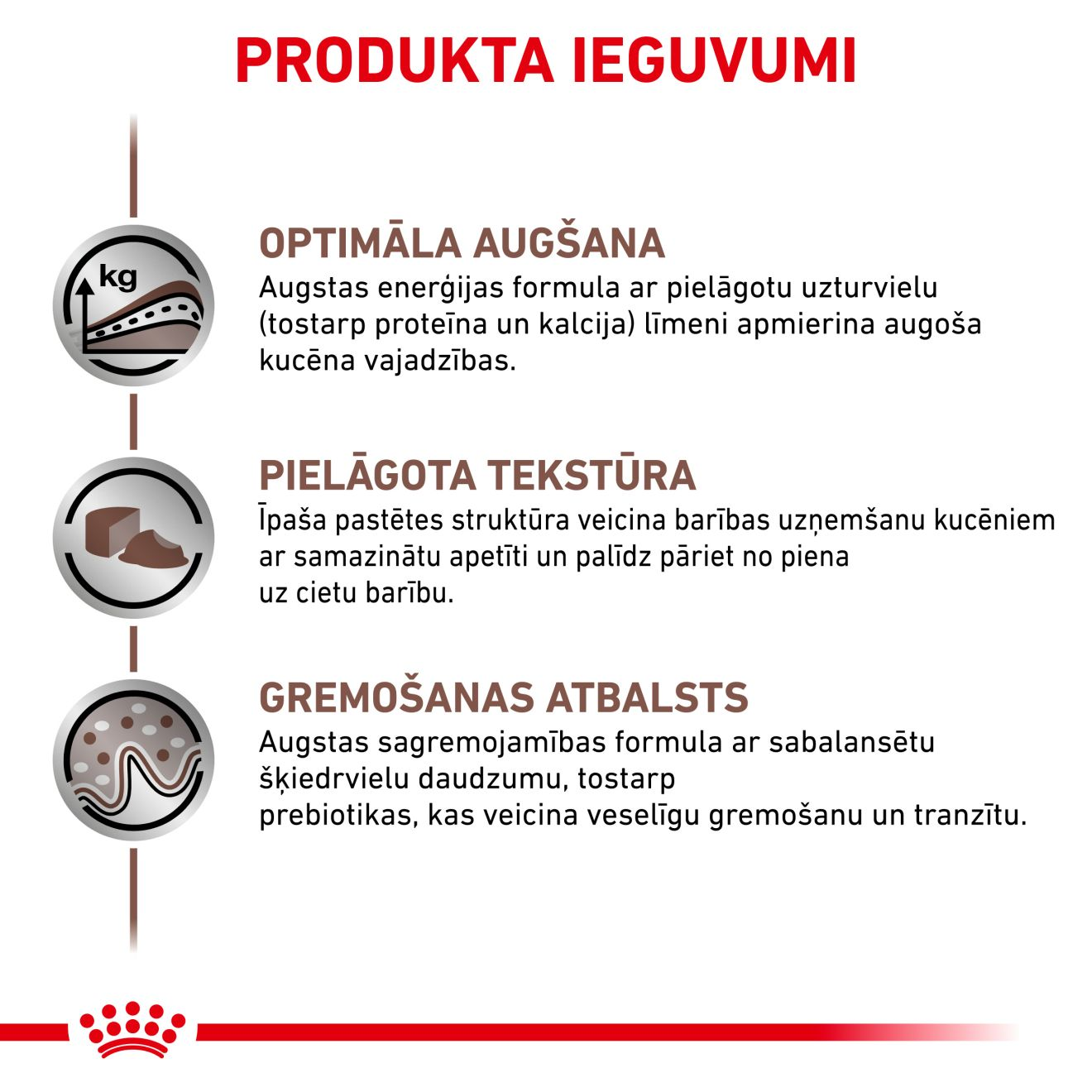 Gastrointestinal Puppy