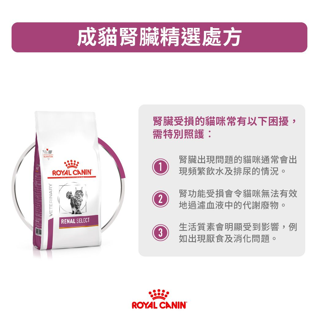 成貓腎臟精選處方