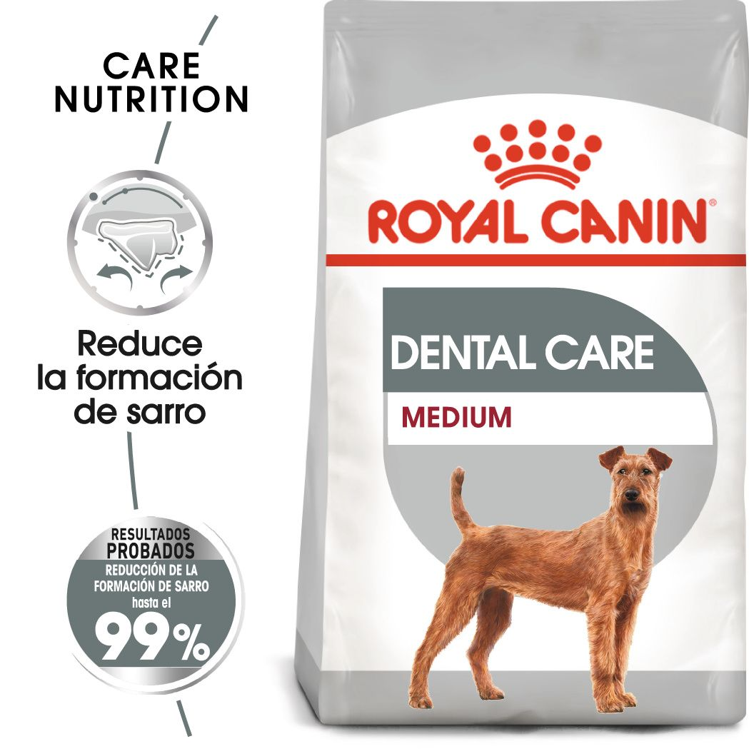 Medium Dental Care