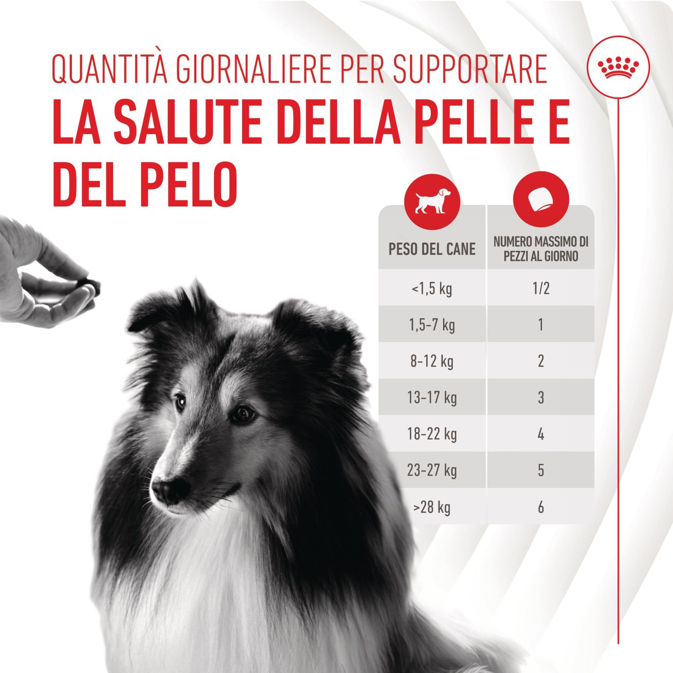 Supplement Skin & Coat chews