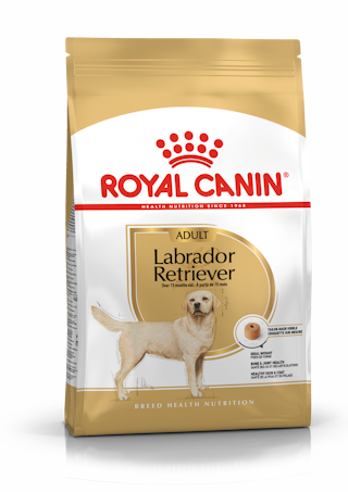Royal Canin Labrador Retriever Adult kuivtoit