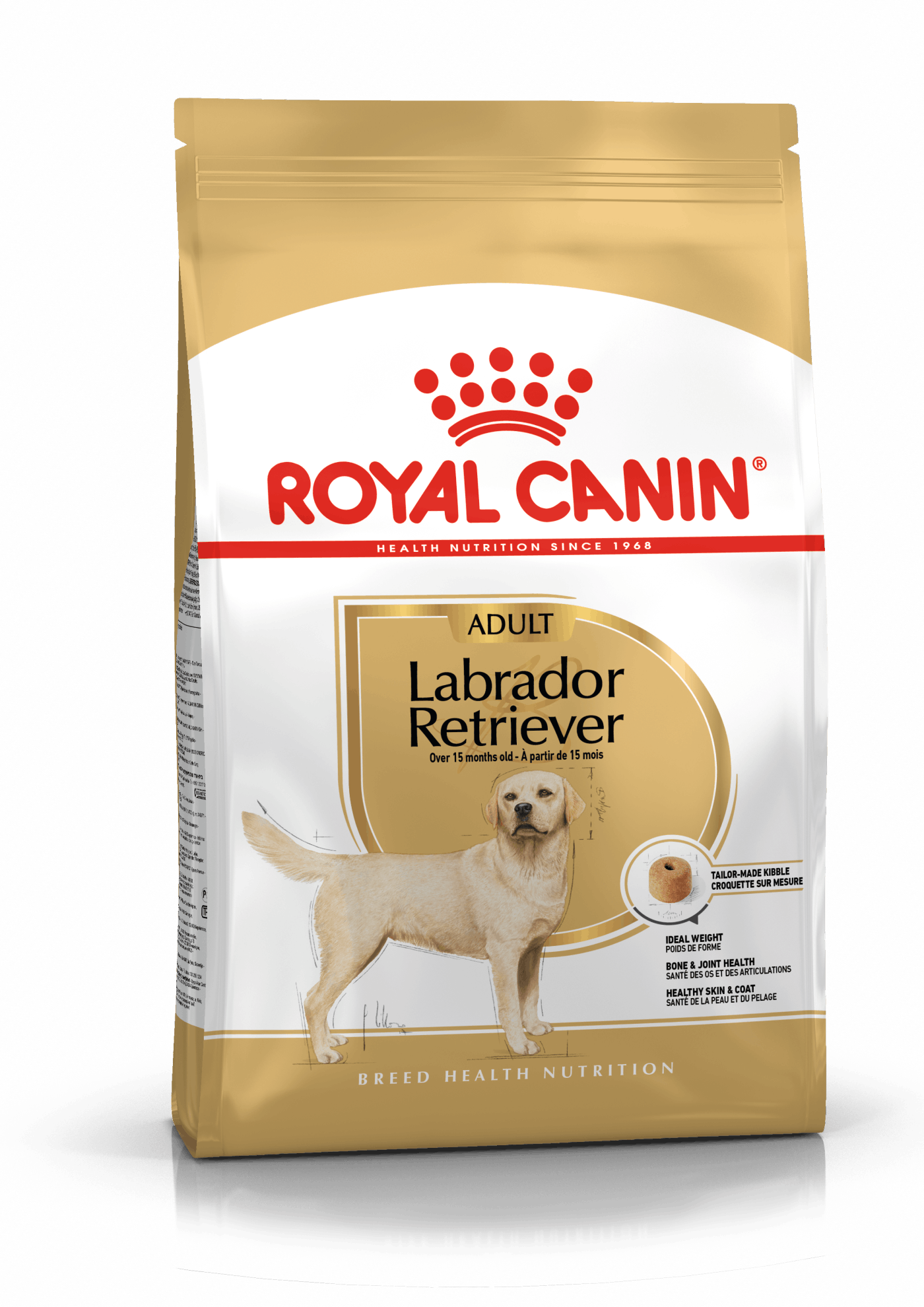 LABRADOR RETRIEVER ADULT
