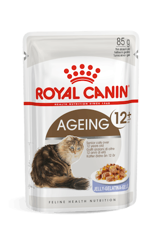 FHN Ageing 12+ Cat  (Jelly)