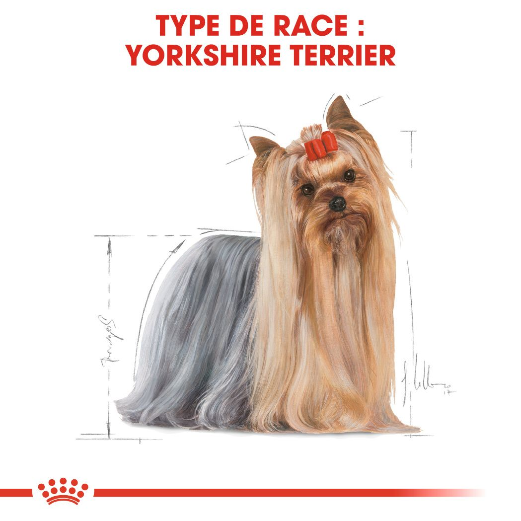 Croquettes Yorkshire Terrier Adulte Boutique Royal Canin Royal