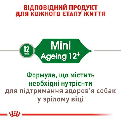 RC-SHN-AgeingMini12_2