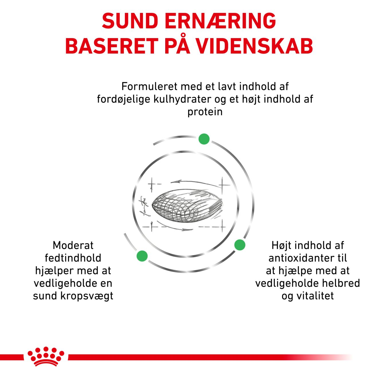 Weight Management Diabetic