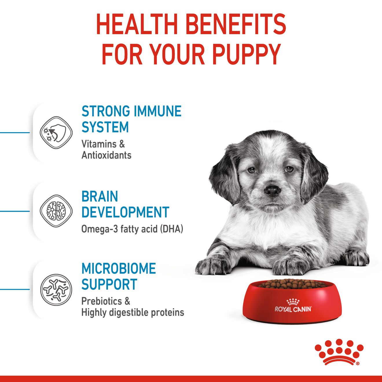 Royal canin store puppy healthy development