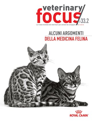 Alcuni argomenti della medicina felina