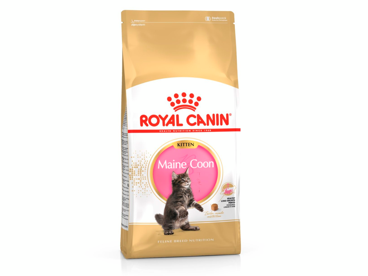 Croquettes Maine Coon Royal Canin pour chaton
