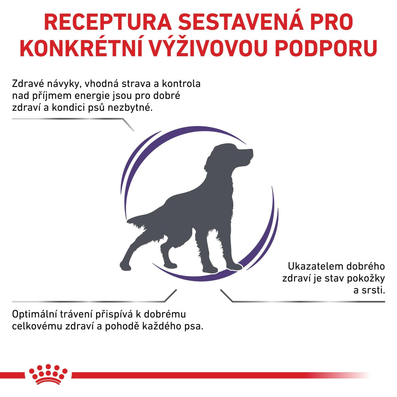 VHN Adult medium dog
