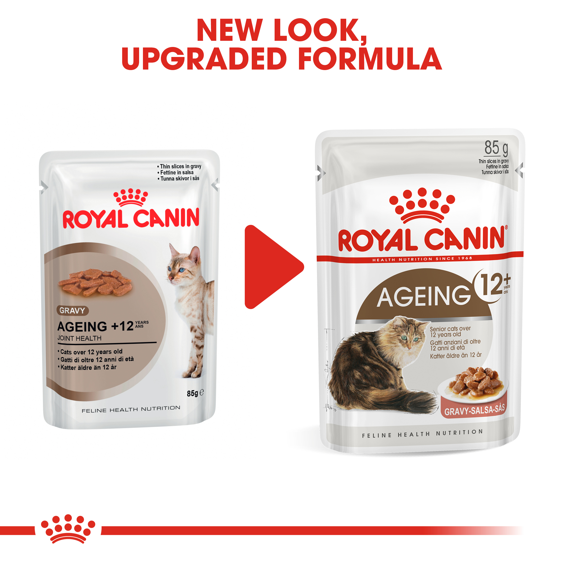 royal canin ageing cat food