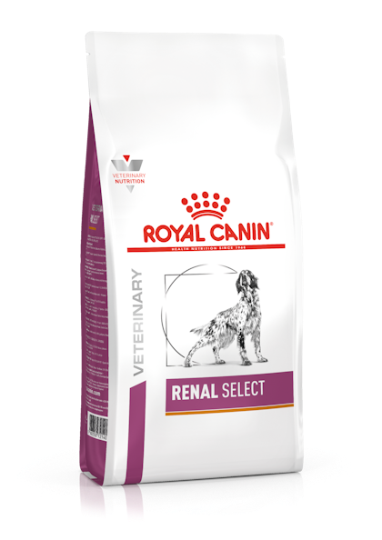 Royal canin renal sales select canine