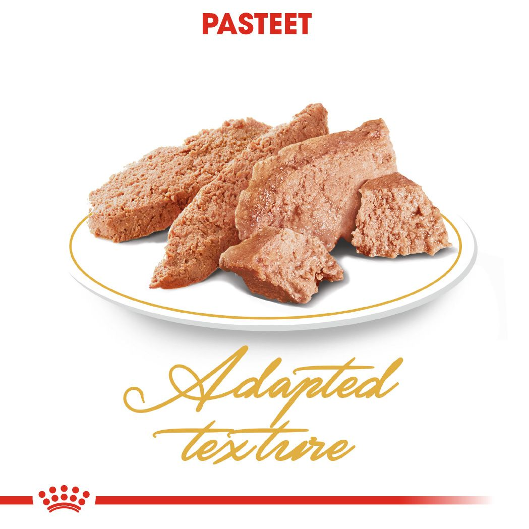 Royal Canin Persian konserv (pasteet)