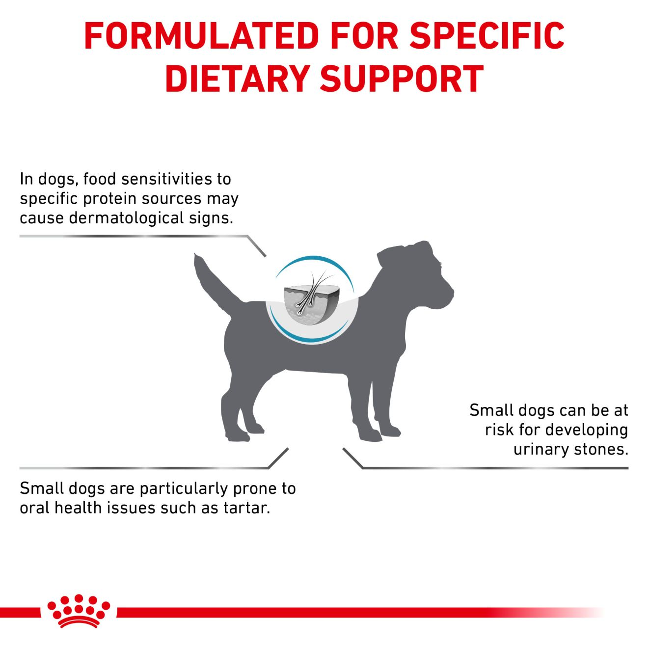 Canine Hydrolyzed Protein Small Dog Royal Canin US