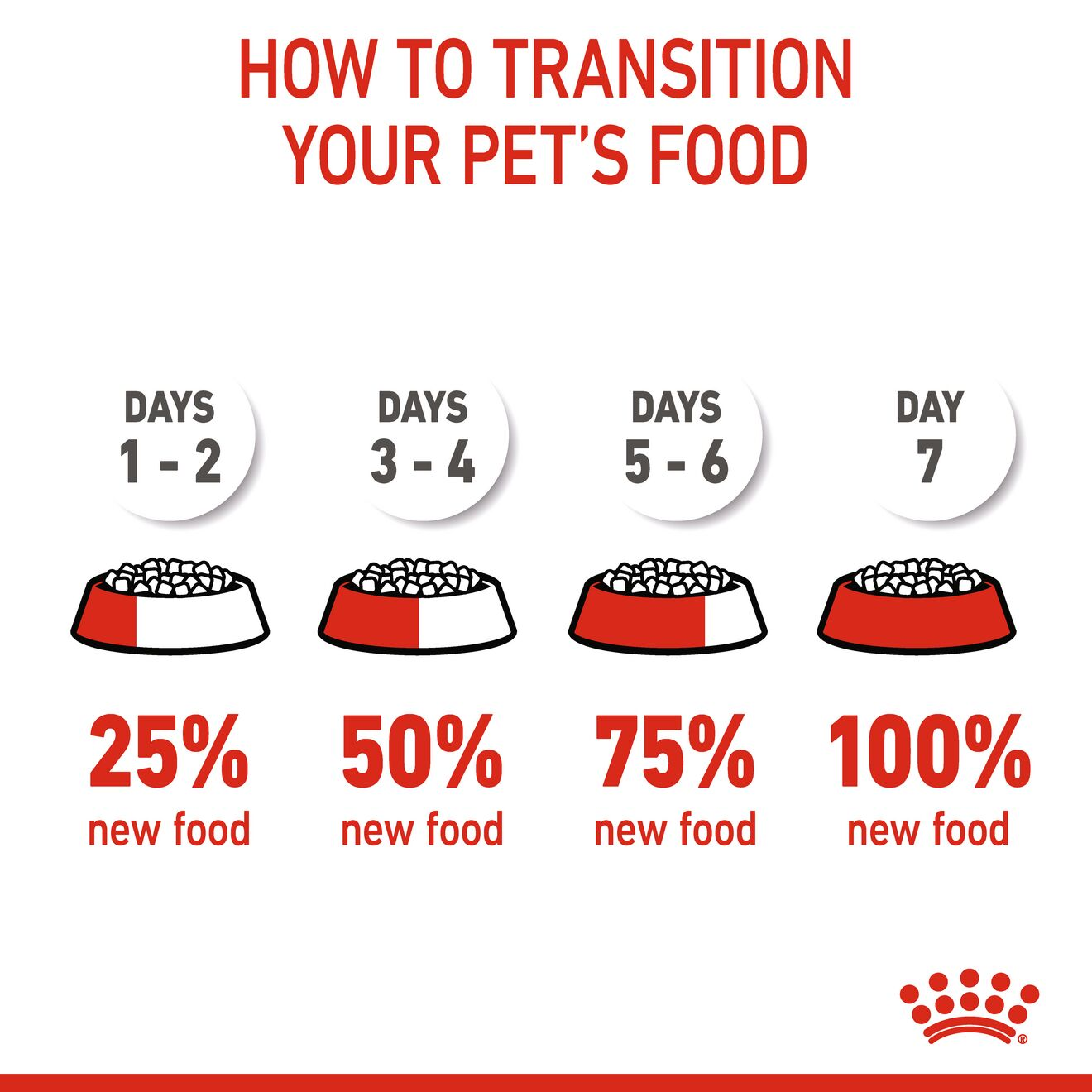 When to move from shop puppy food to dog food