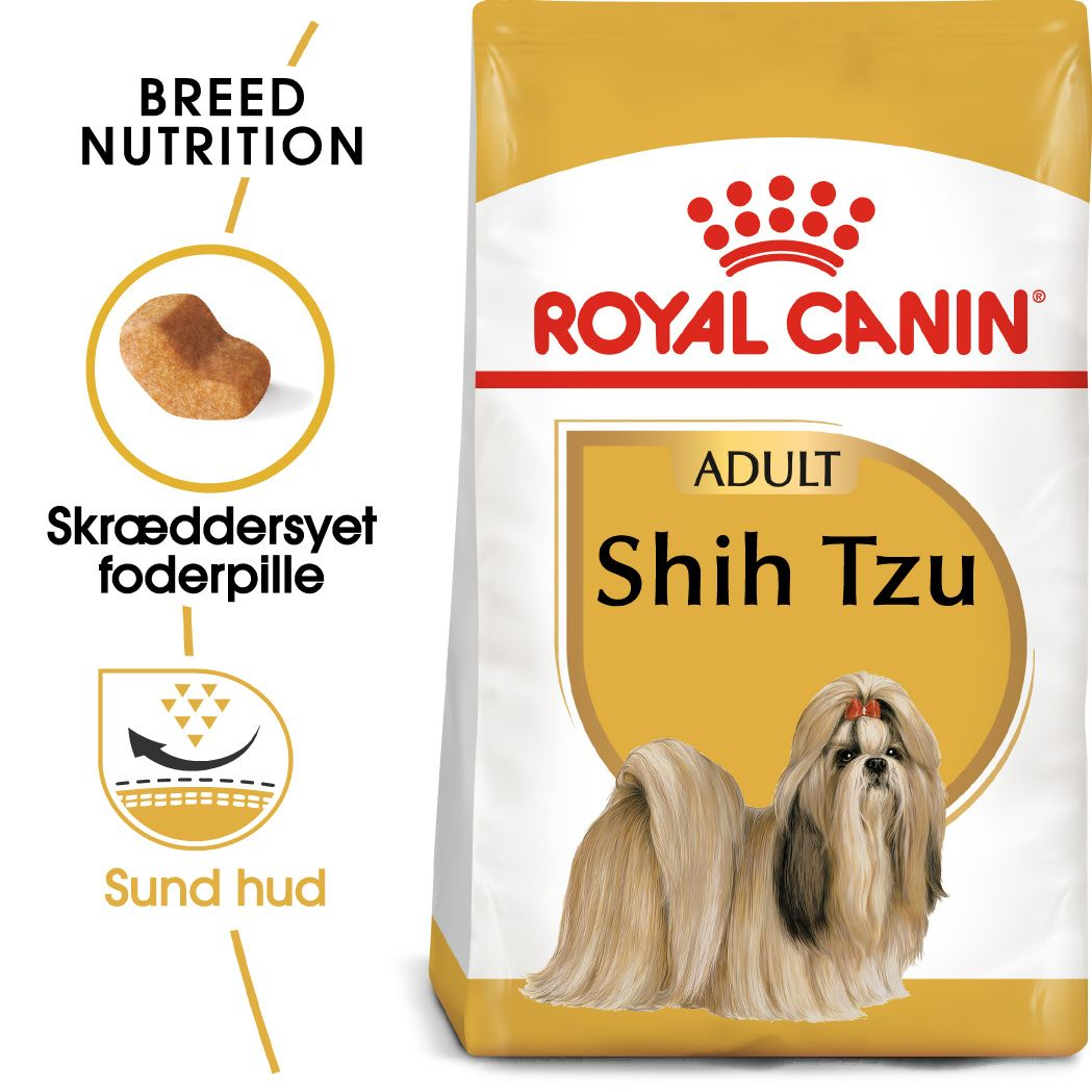 Shih Tzu Adult