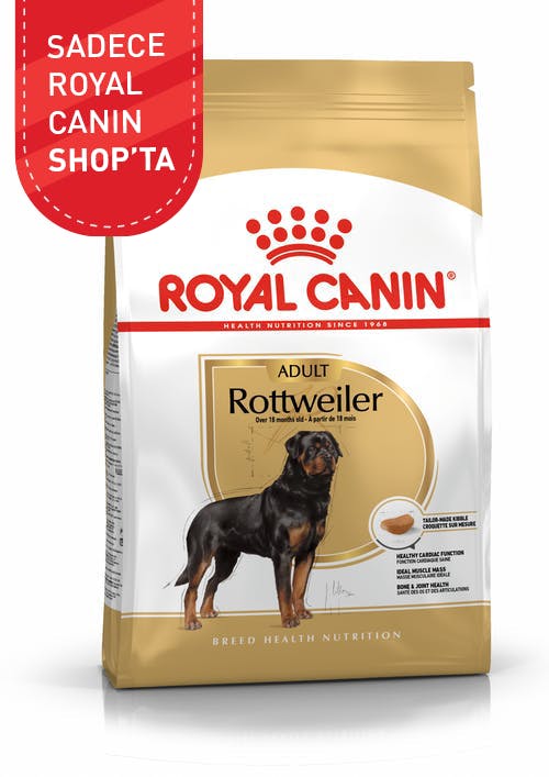 Top 52+ imagen royal canin rottweiler