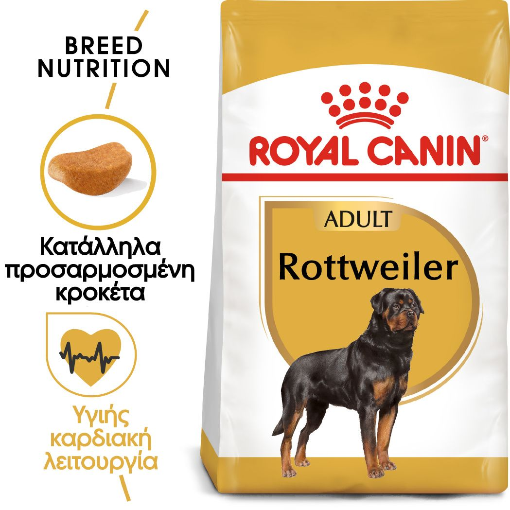 Rottweiler Adult