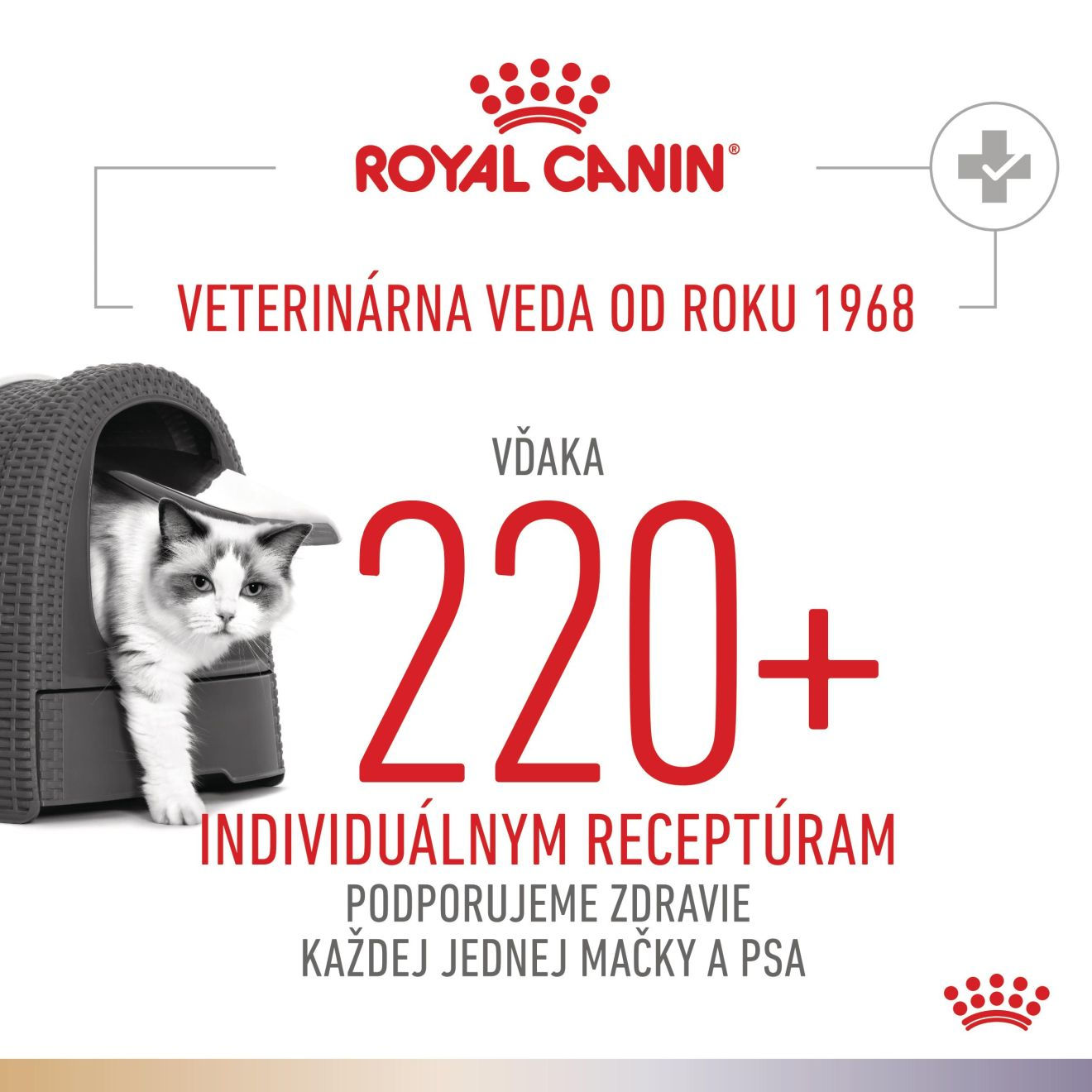 VHN Cat CA Urinary S/O Bladder Comfort