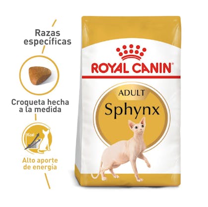 FBN Sphynx Adult Colombia 1