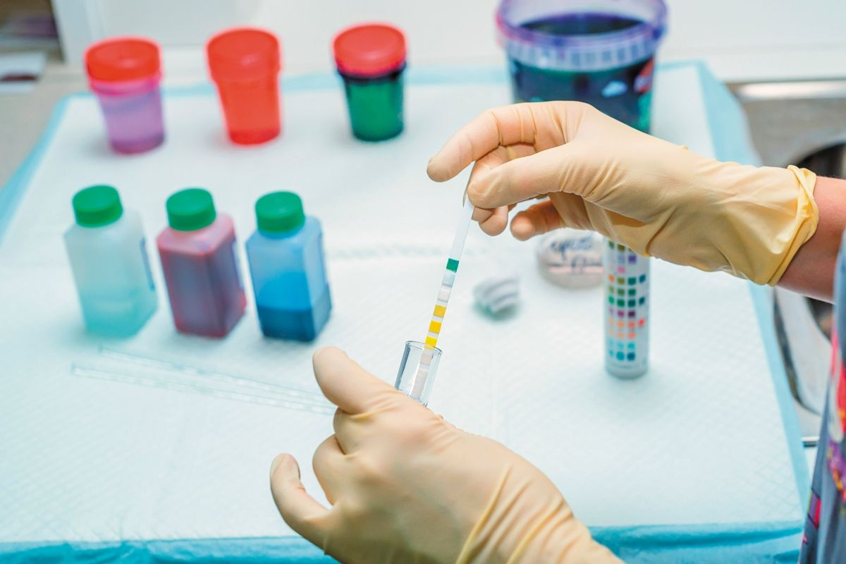 Urinalysis should be performed – wherever possible – in any dog presenting with signs of a possible urinary infection, as it is an easy, cost-effective and useful diagnostic step. 