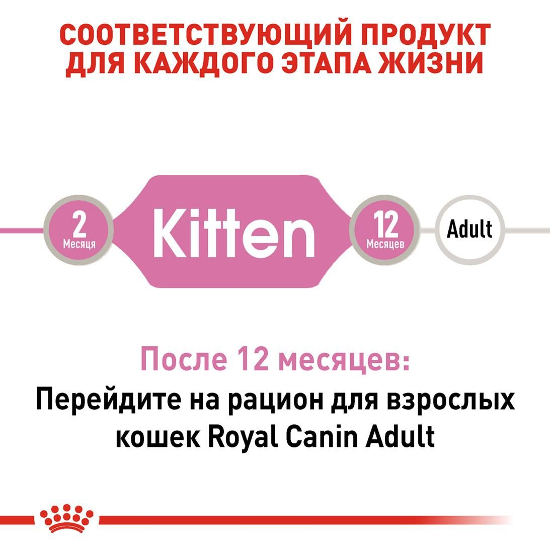 Kitten Loaf