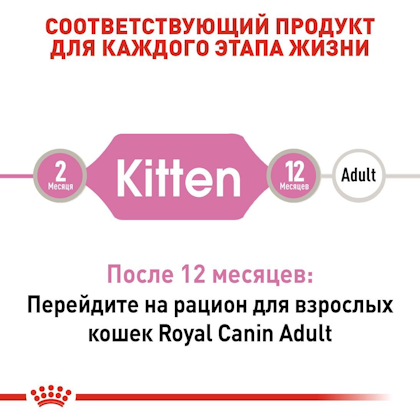 RC-FHN-Wet-KittenInstinctiveLoaf_2-RU.jpg