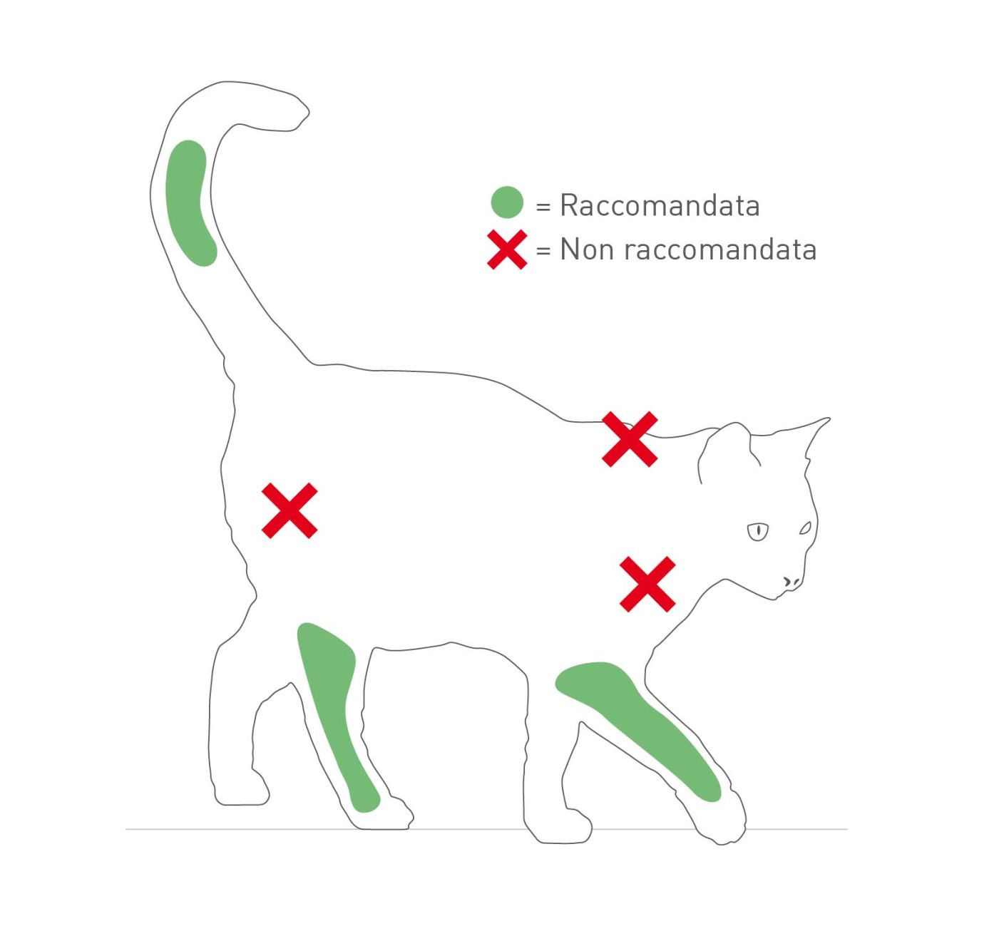 La sede di inoculo del vaccino deve essere registrata nella documentazione del paziente