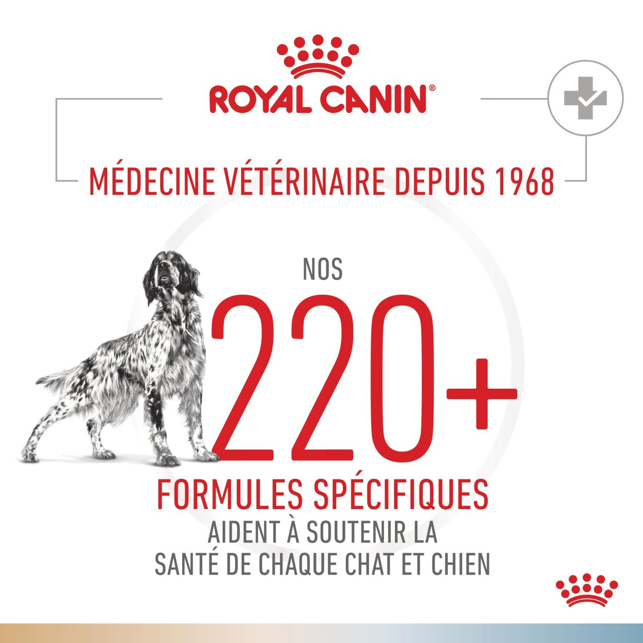 Urinary S/O + Hypoallergenic Chien 
