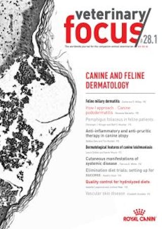 Canine and feline dermatology