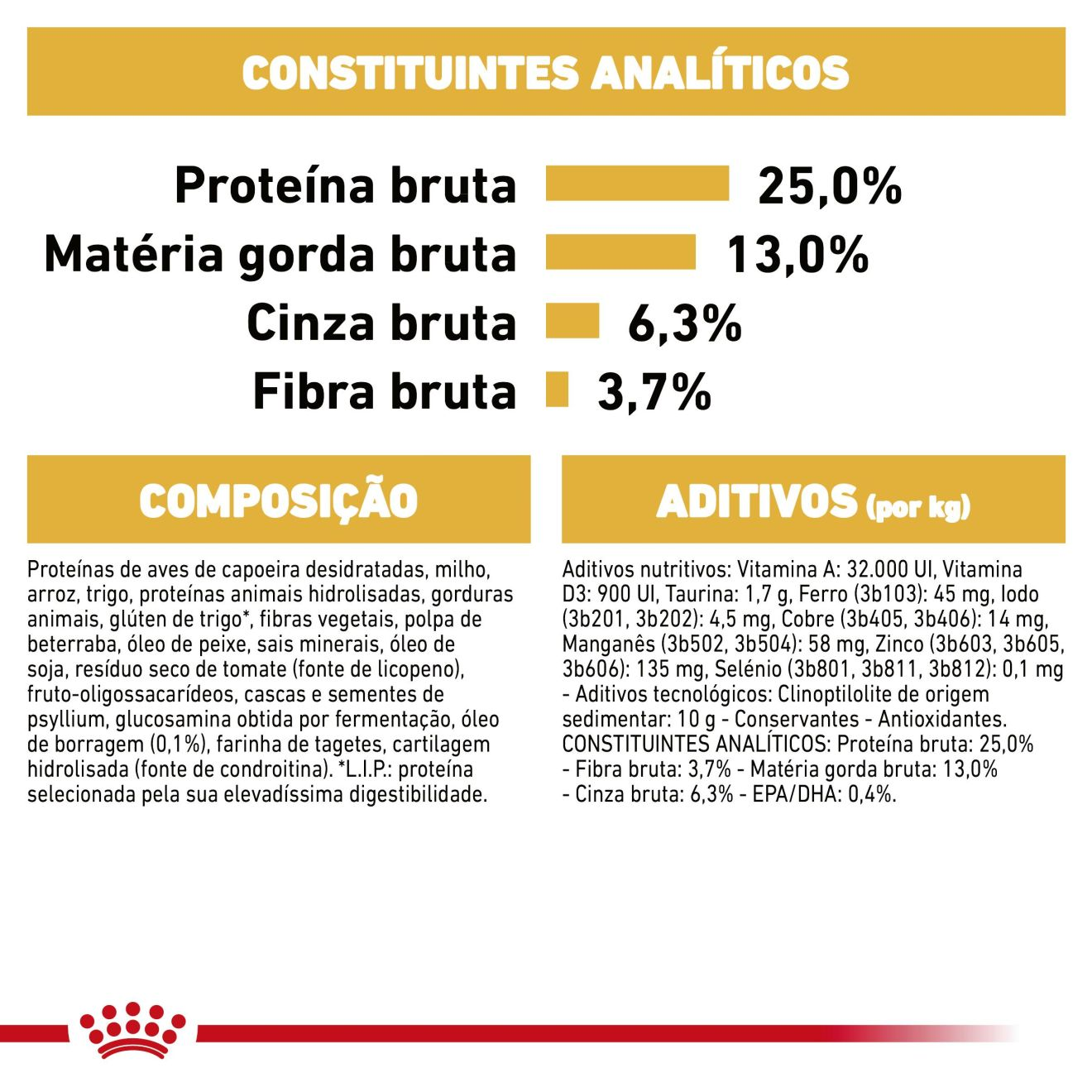 Golden Retriever Adult