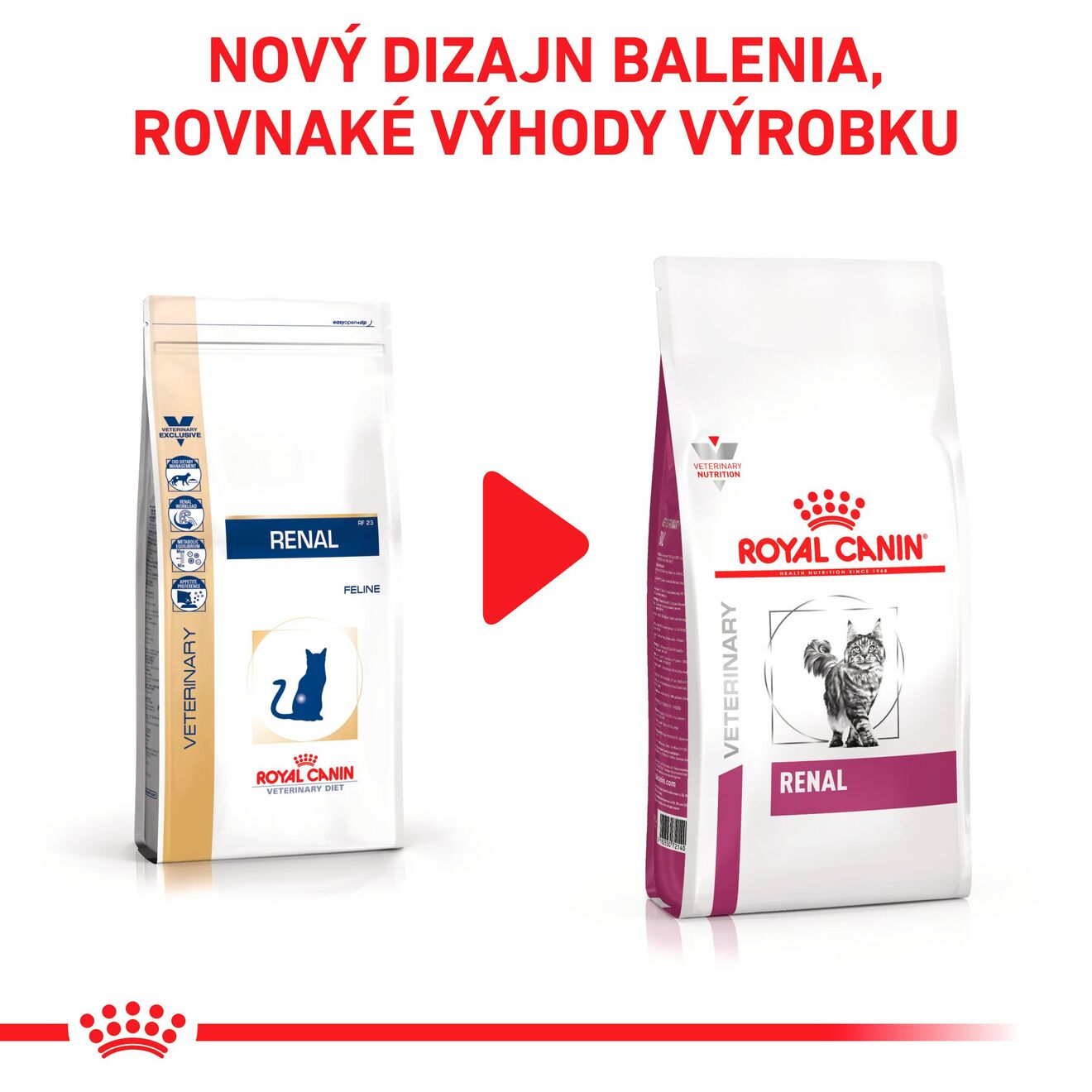 VHN Cat Renal