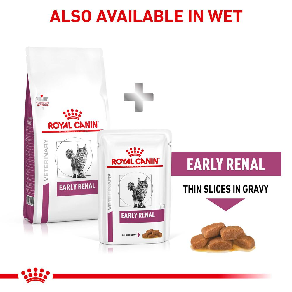 Royal canin renal food for clearance cats