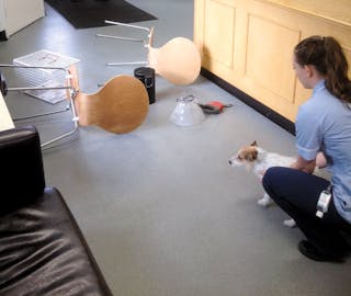 percorso a ostacoli allestito nella sala d’aspetto 