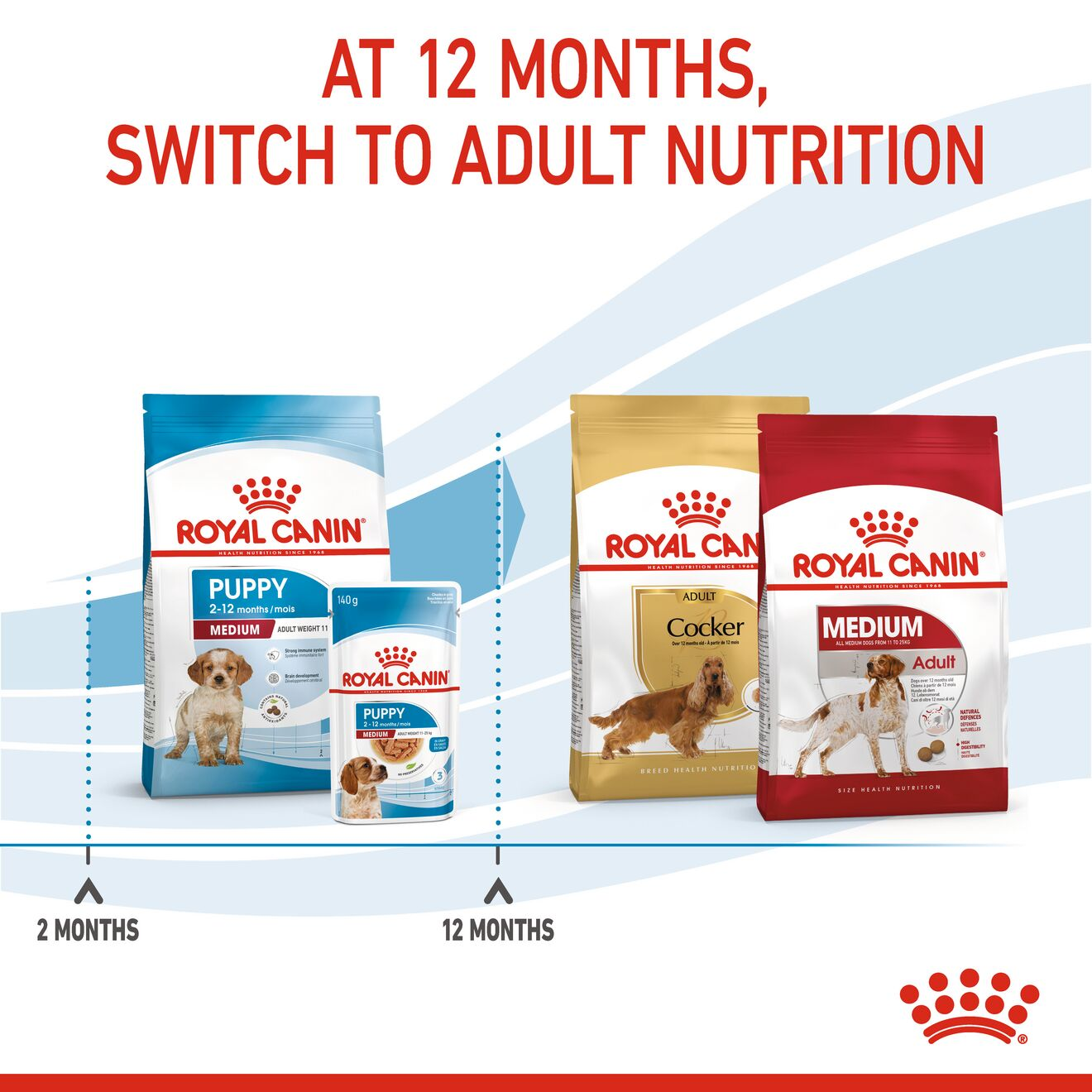 Royal canin outlet medium puppy professional