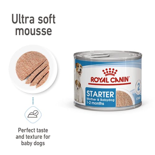 Starter Mother & Babydog Ultra Soft Mousse