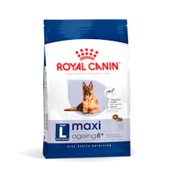 Maxi Ageing 8+