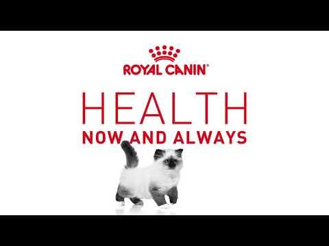 SOL Royal Canin Kitten