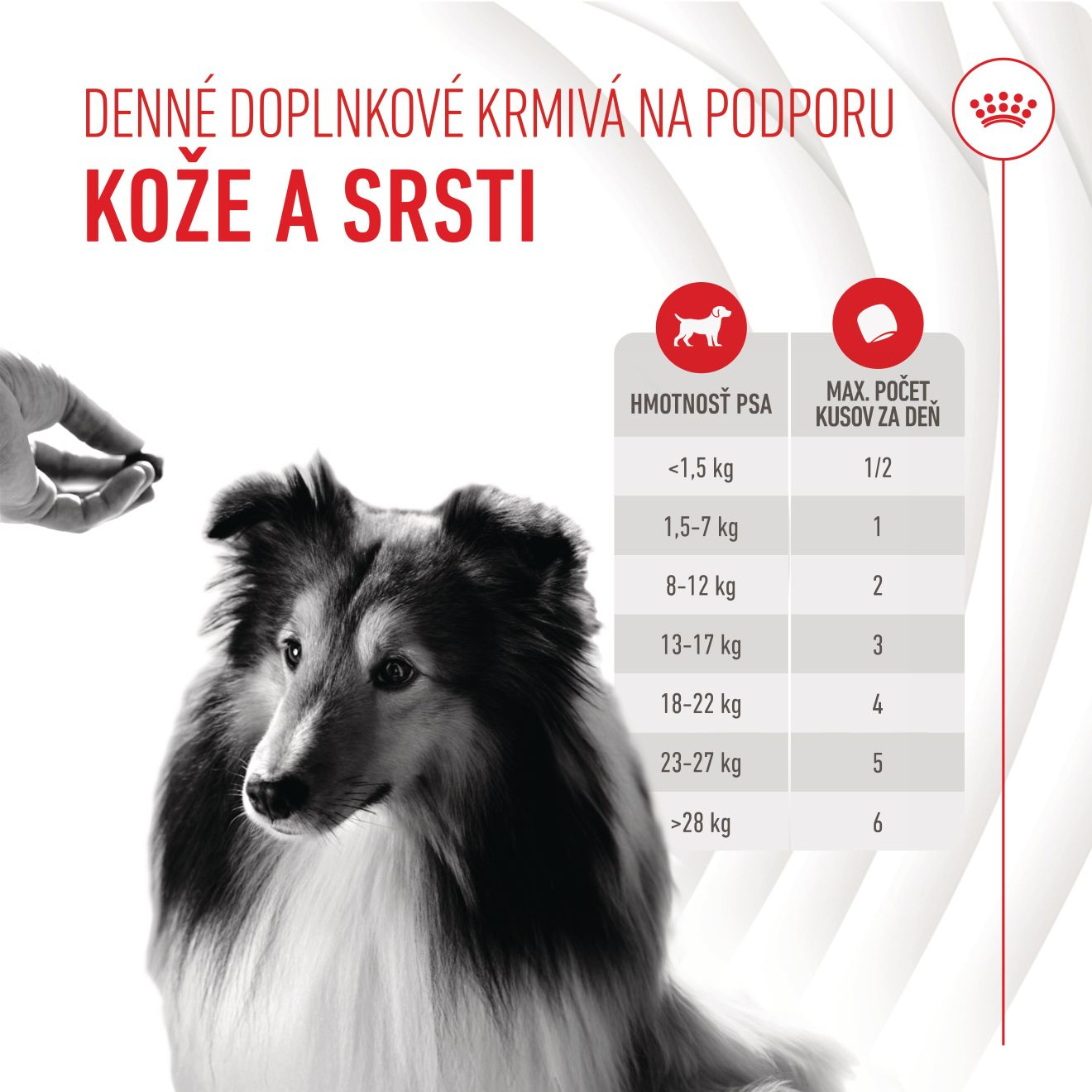 Supplements Dog Skin & Coat Adult 