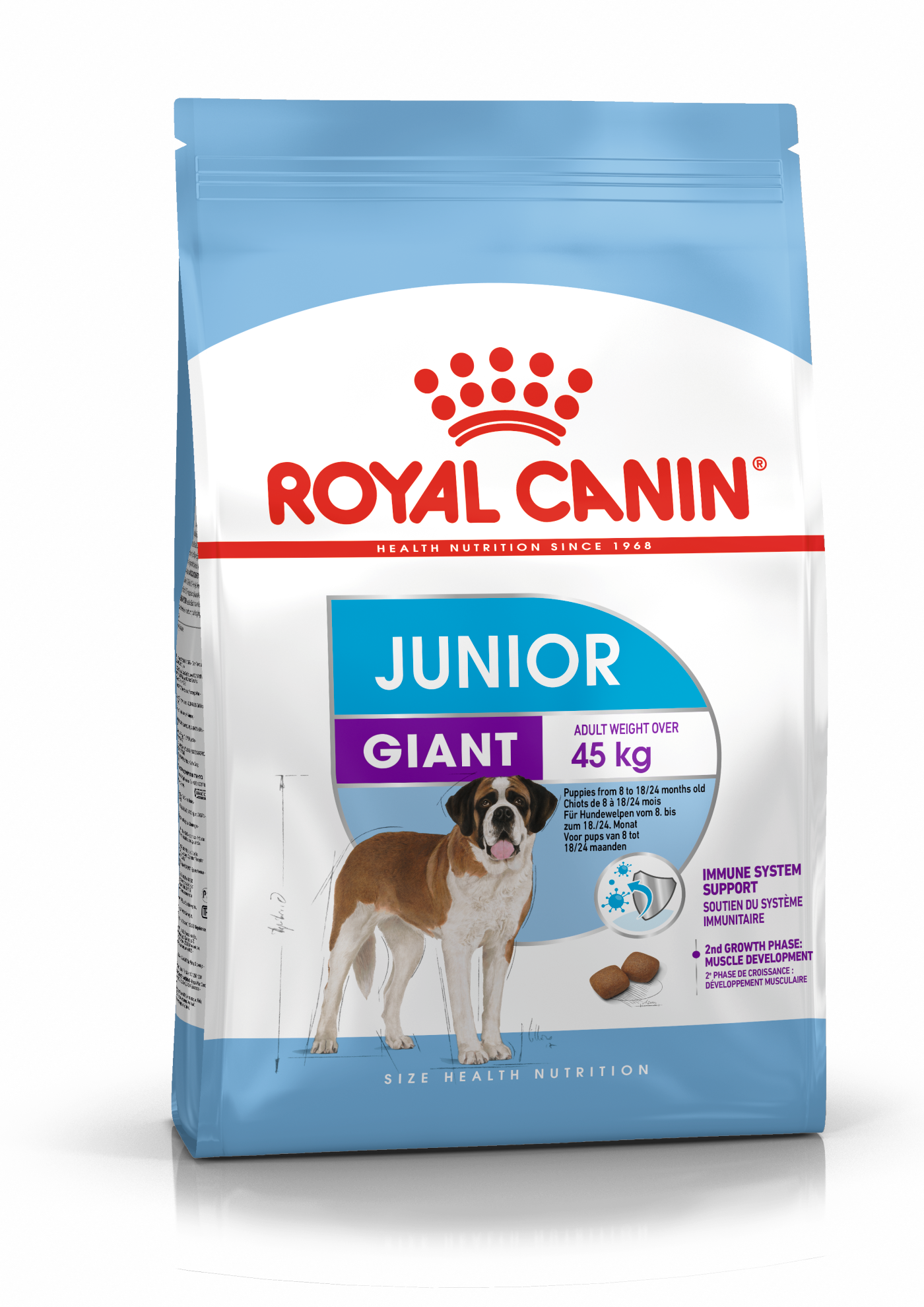 royal canin maxi junior feeding chart