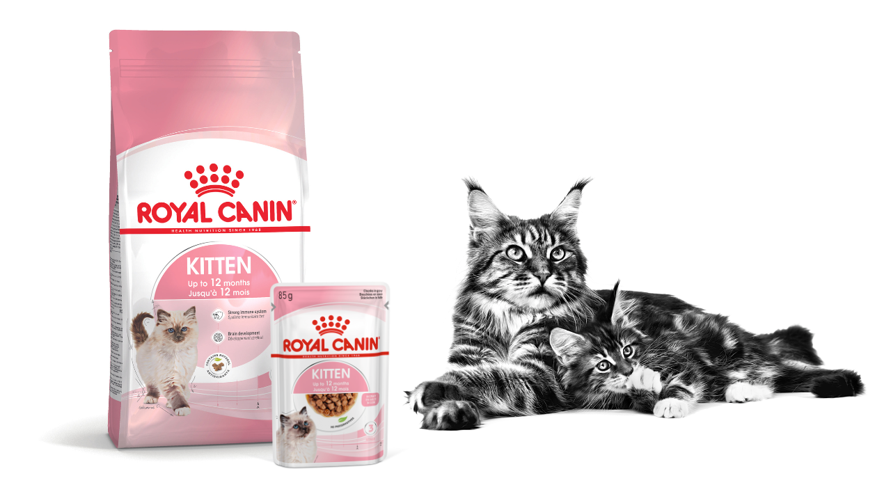 Yavru Kedi Mamaları - Royal Canin