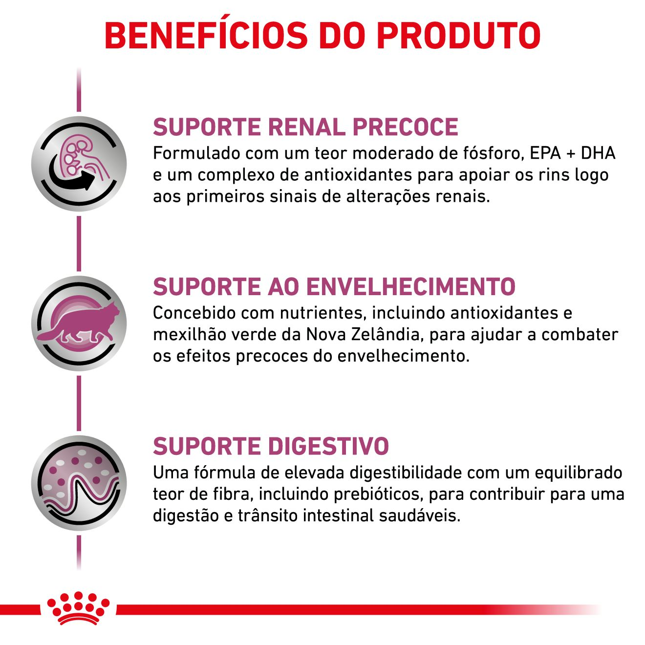 Early Renal fatias finas com molho