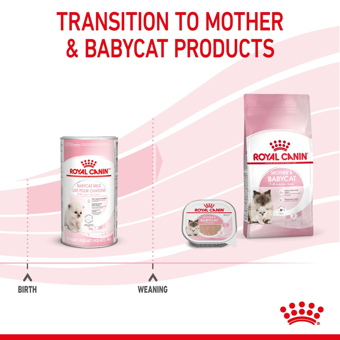 Babycat Milk