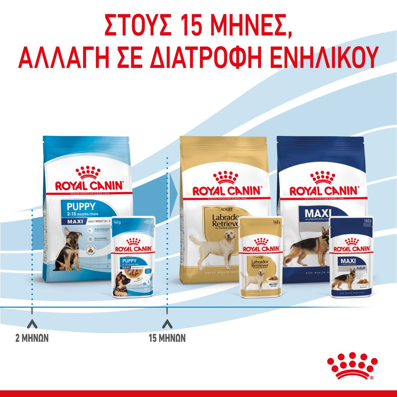 PUPPY - MAXI -  Κομματάκια σε σάλτσα