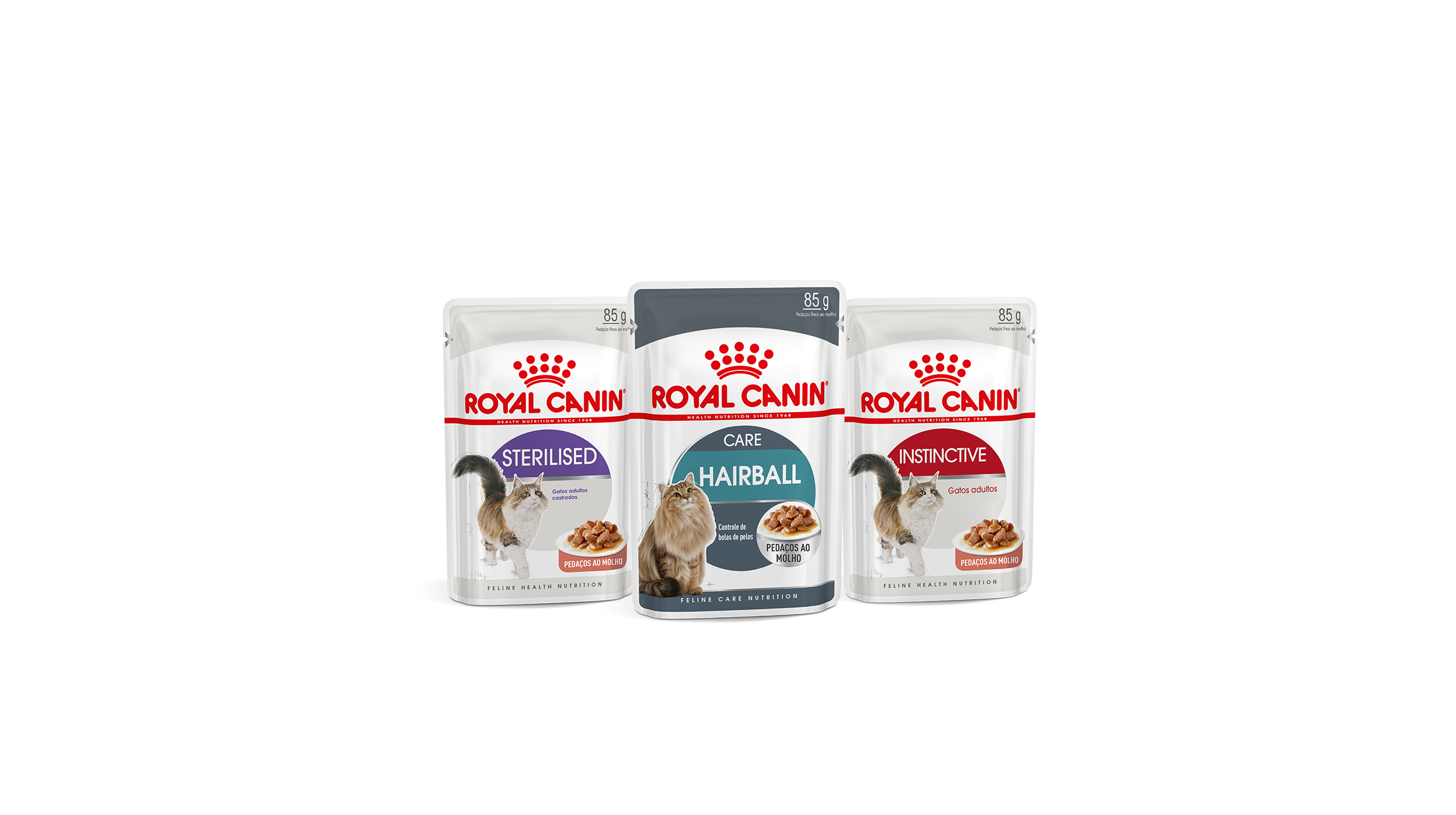 Black and white bengal cat sitting 