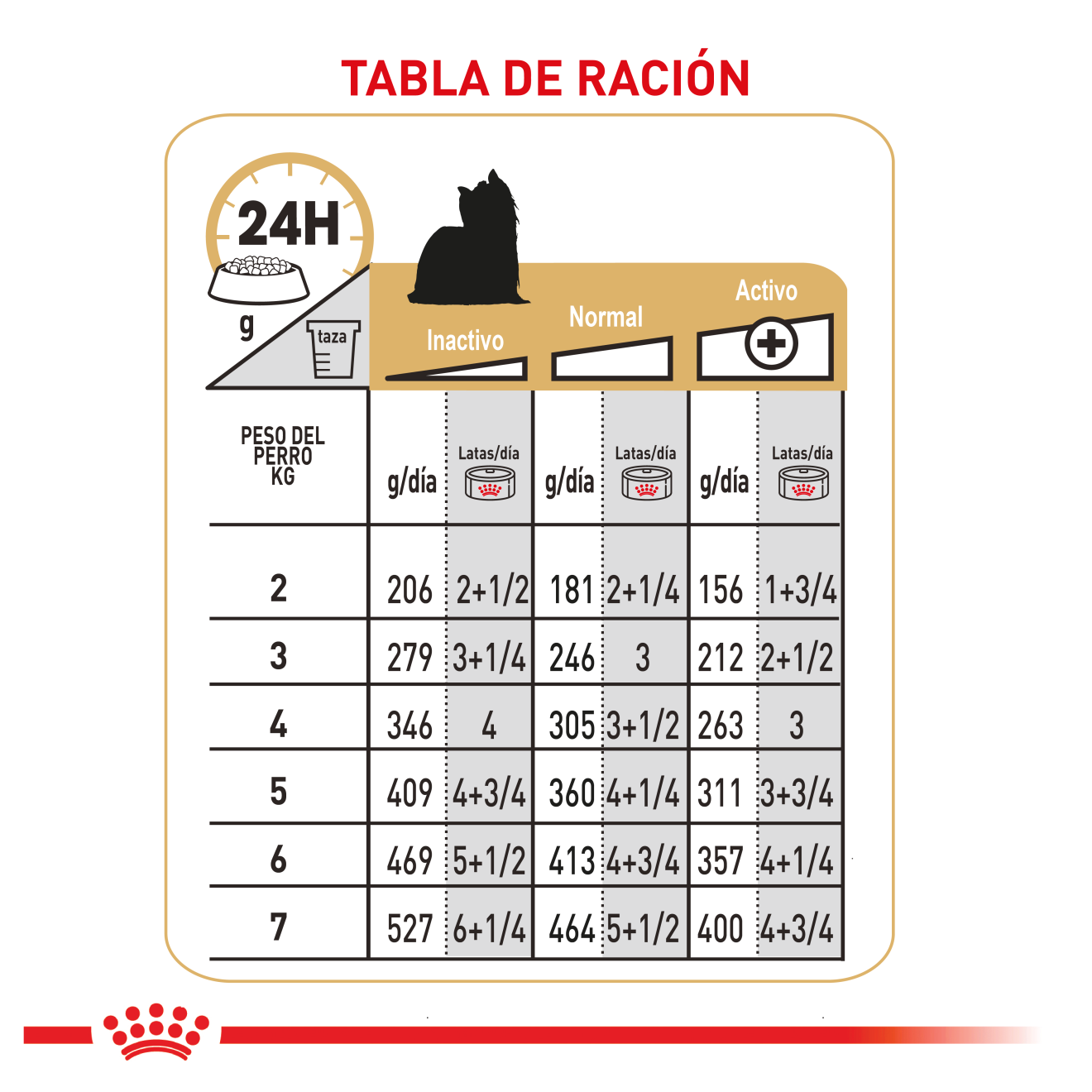 Yorkshire Terrier Adulto Lata