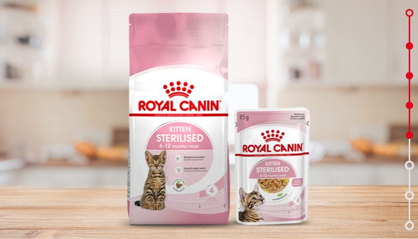 Royal canin clearance after operation