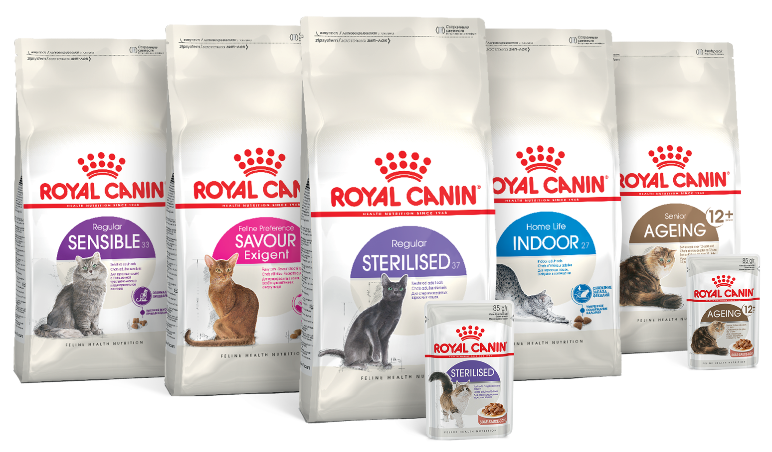 Эндопаразиты у кошек и как с ними бороться | Royal Canin