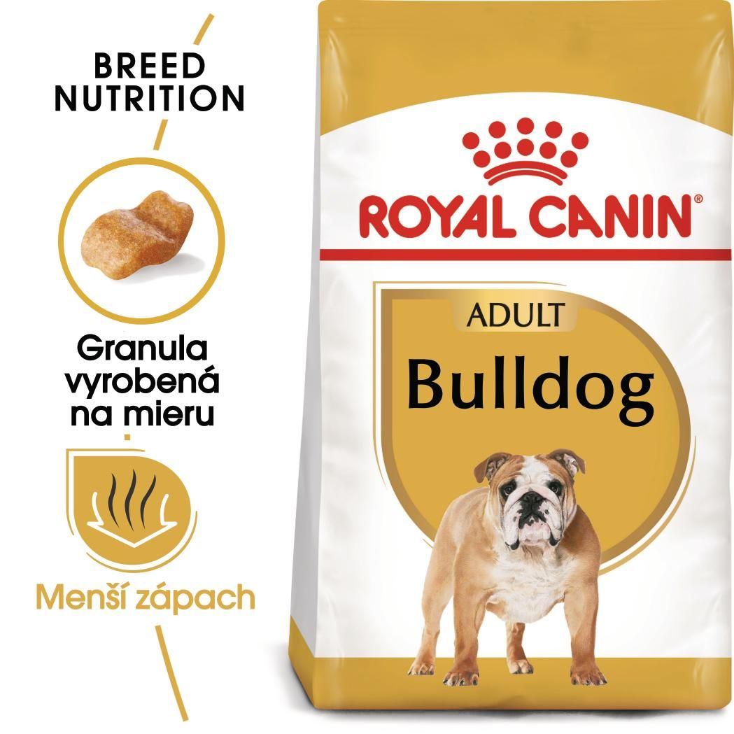 BULLDOG Adult
