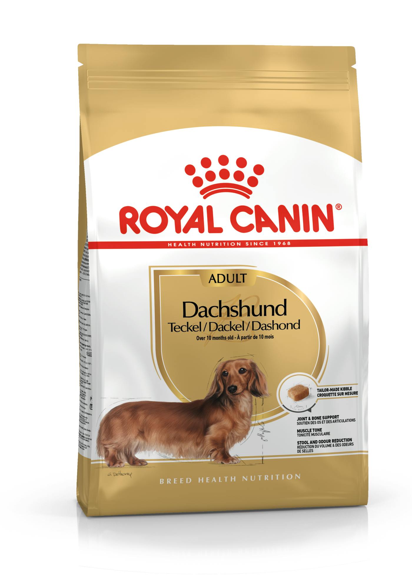 best dog food for dachshunds south africa